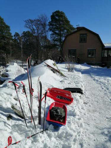 IMG-20230312-WA0002